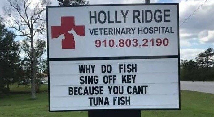 A Joke That Satisfies the Dad in All of Us