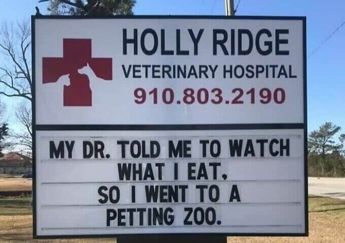 The Punchline You Weren't Expecting