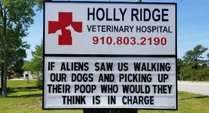 It's a Dog's Job but Somebody's Gotta Do It