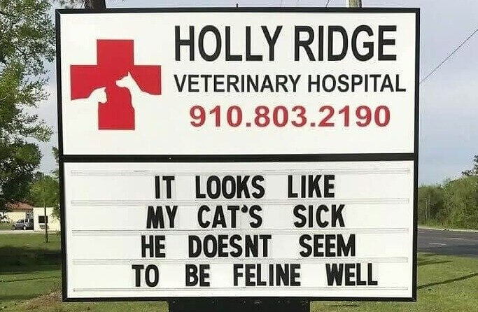 Everything Is Joke Material at Holly Ridge Veterinary Hospital