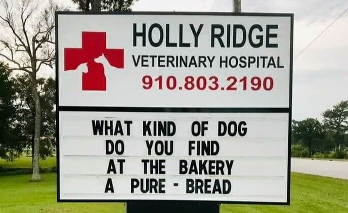 This Gets a Rise Out of Us