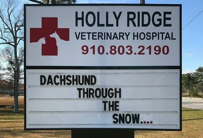 O What Fun It Is to Ride In a One-Horse Open Sleigh