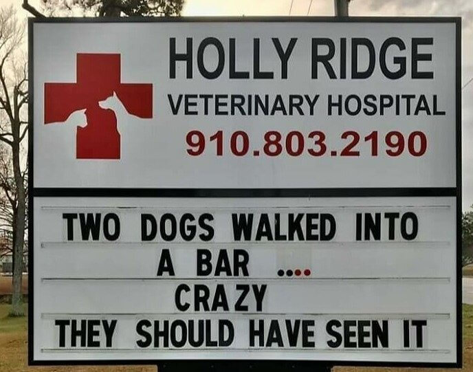 They Must Have Been Bar-King Mad