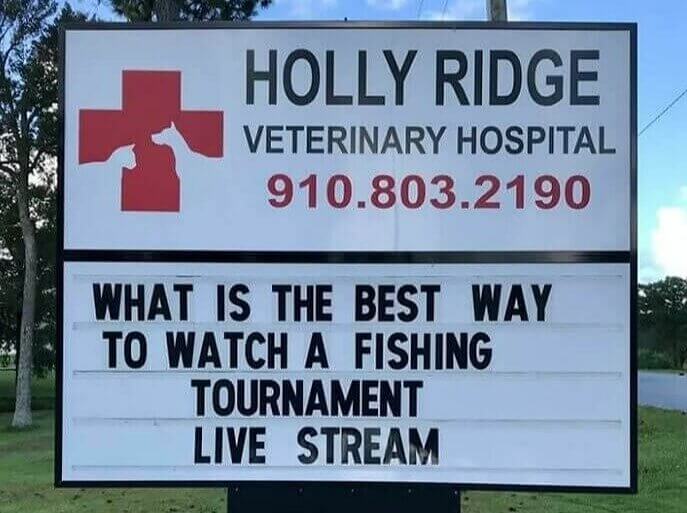 Reeling in the Laughs