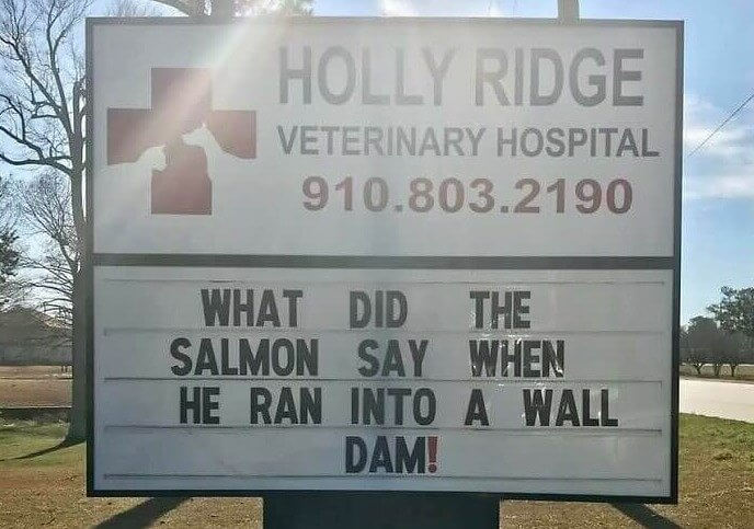 There's Something Fishy About This One