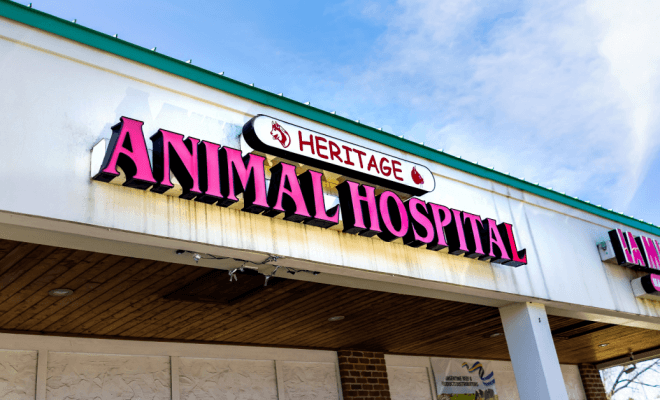 This Vet Clinic Is Going Viral for Making Hilarious Signs