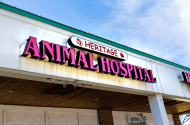 This Vet Clinic Is Going Viral for Making Hilarious Signs