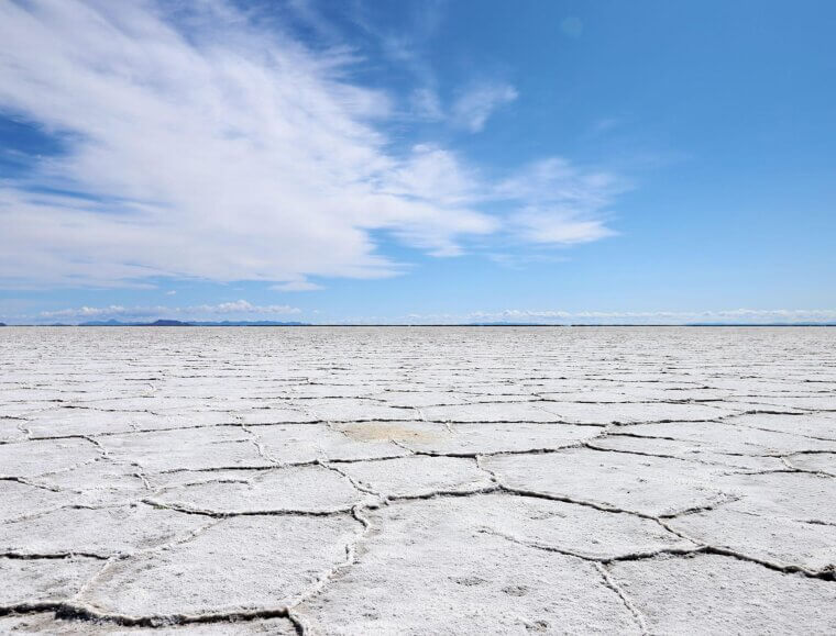 The Thirsty Side of “Green”