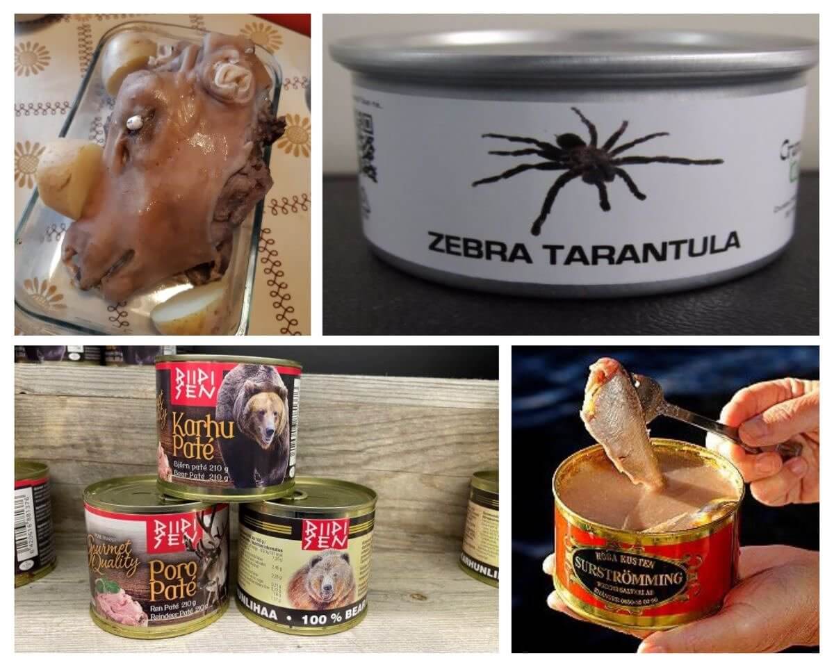The World’s Weirdest Canned Foods That Will Make Your Toes Curl!