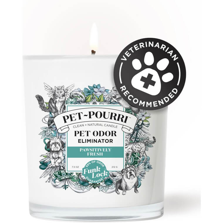 A Plant-Based Odor-Eliminating Candle That Neutralizes Any Funky Smells Filling up the House Thanks to Your Pets.