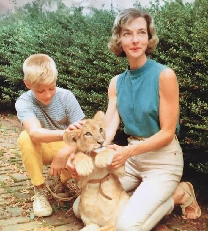 Not All Heroes Wear Capes. Some Raise Lions Instead