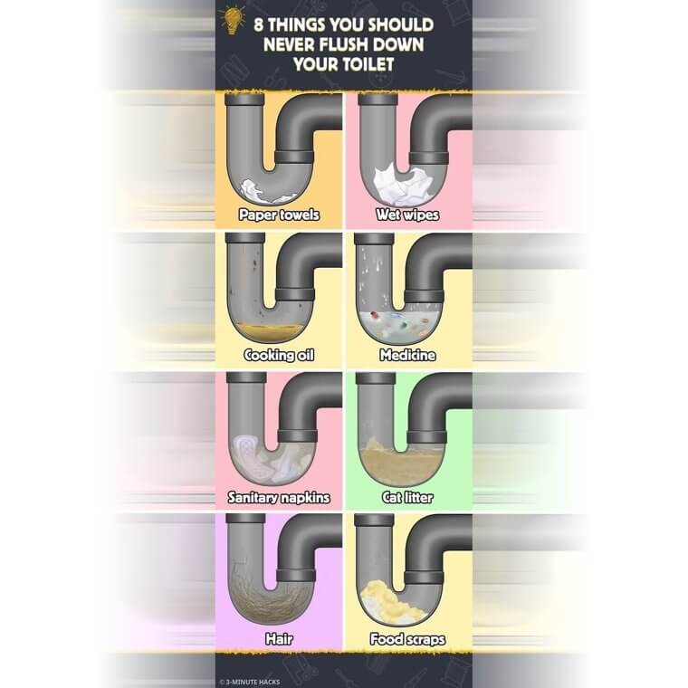 Never Flush These Down Your Toilet