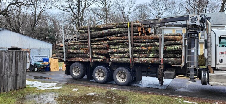 Logging Truck Driver