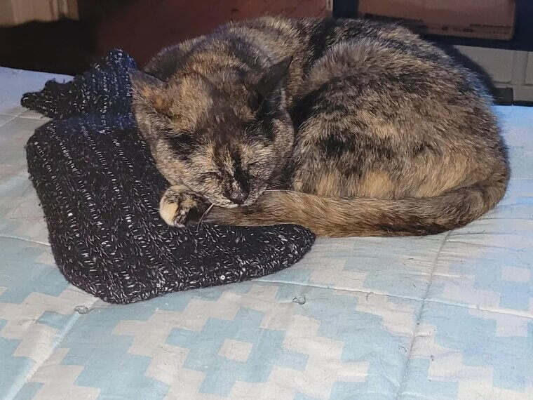 Use Hot Water Bottles