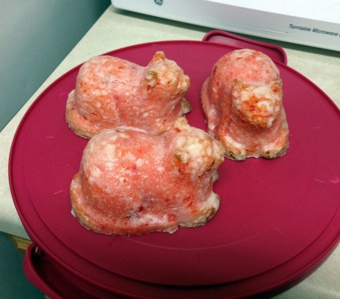 Strawberry Shortcakes Turned Into Burn Victim Cats