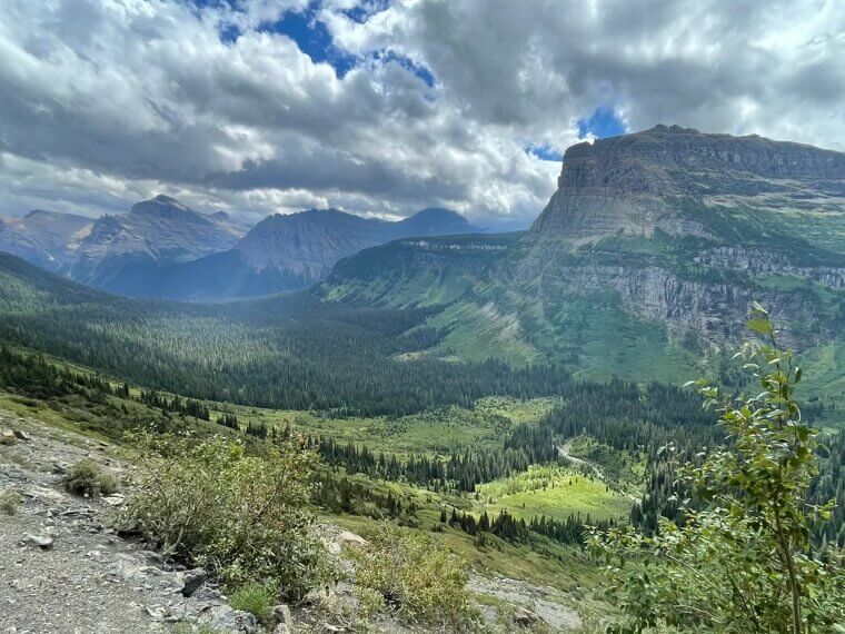 Montana