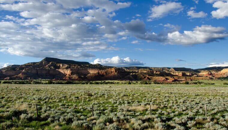 New Mexico