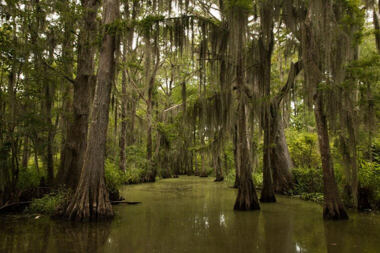 Louisiana
