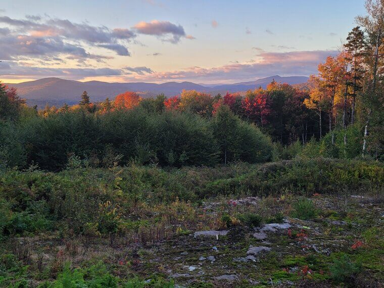 Vermont