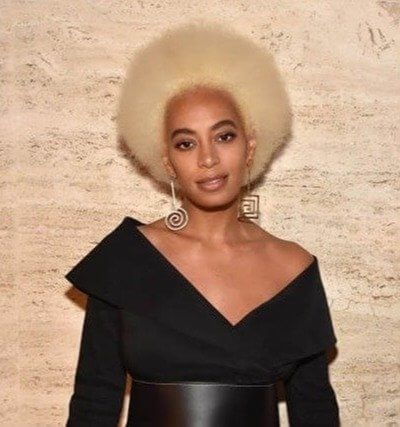 Solange Assaulted Jay Z on Video in an Elevator