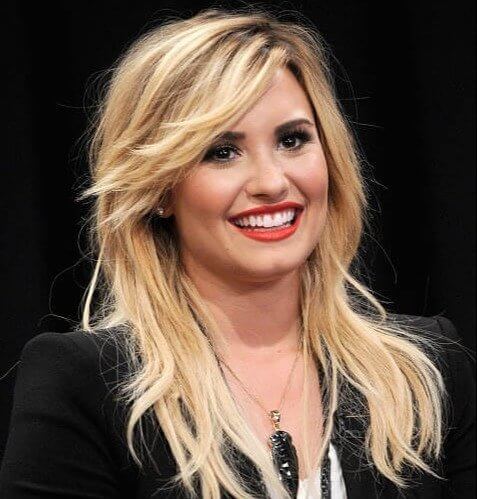 Demi Lovato Admittedly Stole Pillows