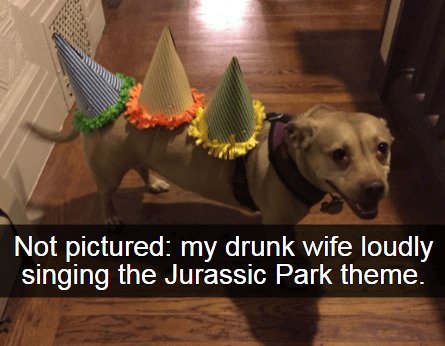 Dogs: A (drunk) Woman's Best Friend