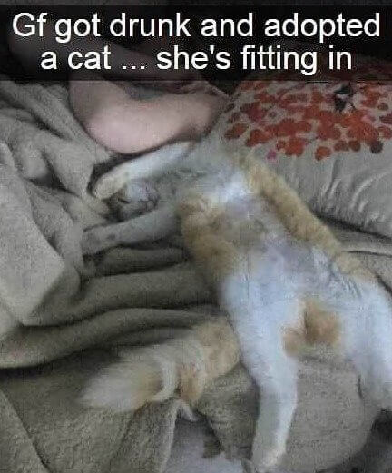 Looks Like a Perfect Match