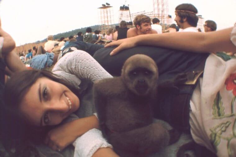 The Bazaar Didn't Go To Plan