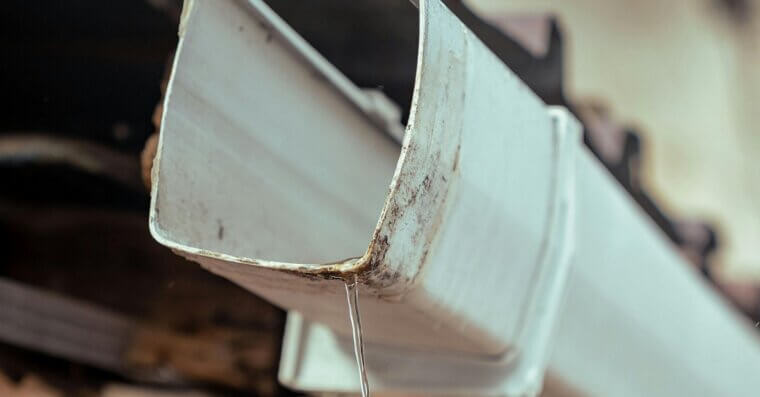 Clean Out the Gutters