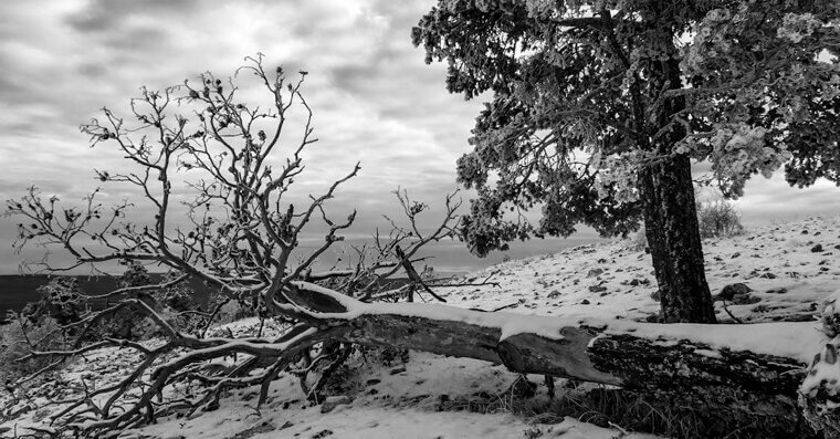 Prep for Power Outages