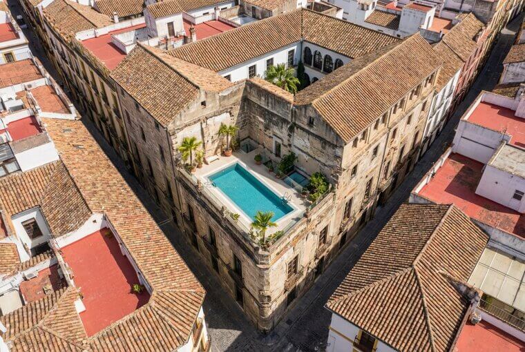 Hidden Oasis in the Heart of a City’s Rooftops