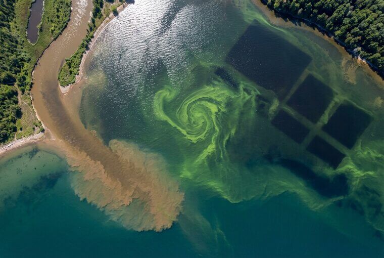 Swirling Secrets of Algal Blooms Revealed