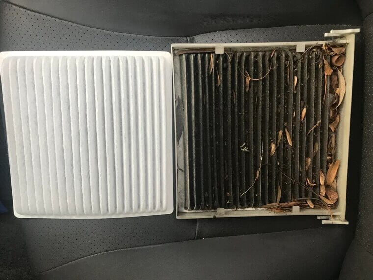 Engine and Cabin Air Filters