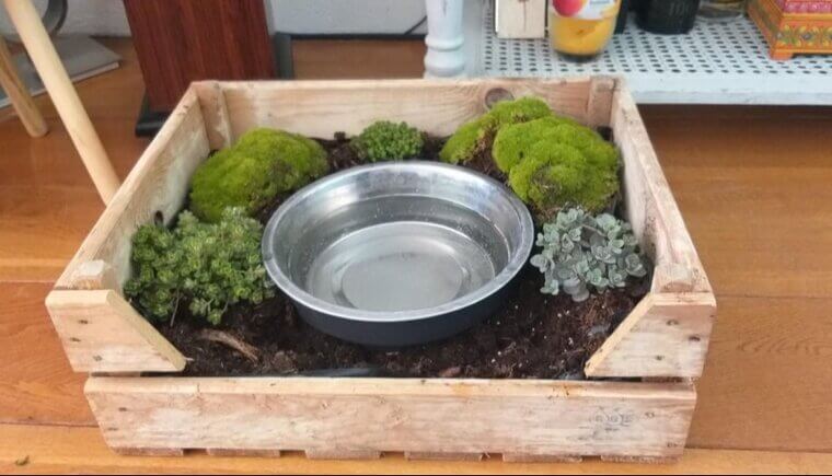 Mantenha a área de bebida do seu cão permanentemente limpa