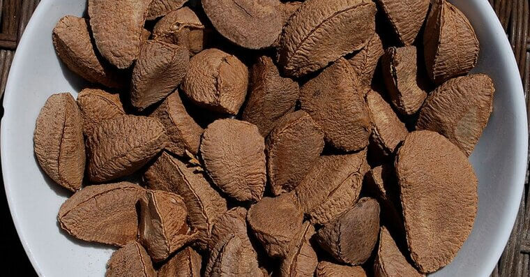 Brazil Nuts