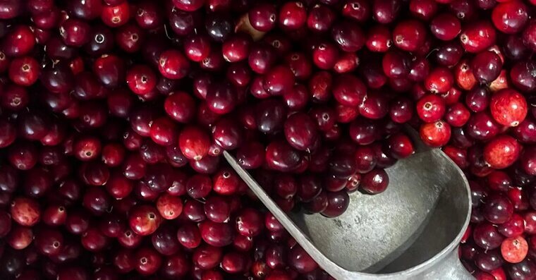 Cranberries