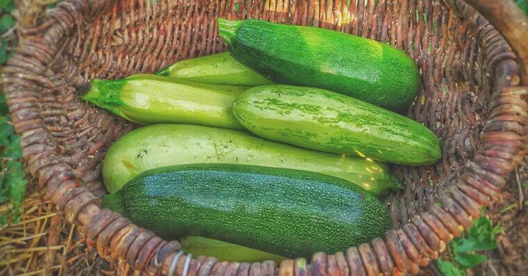 Zucchini