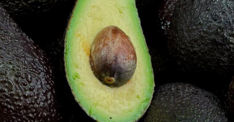 Avocado