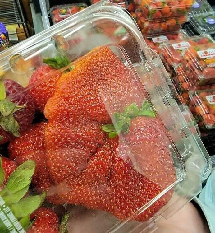 Tu as fait de la gym, fraise ?