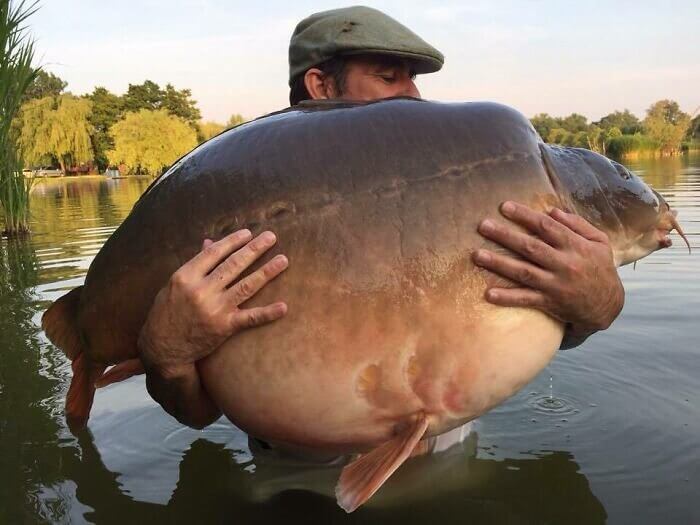 Il a attrapé le poisson le plus gros du lac