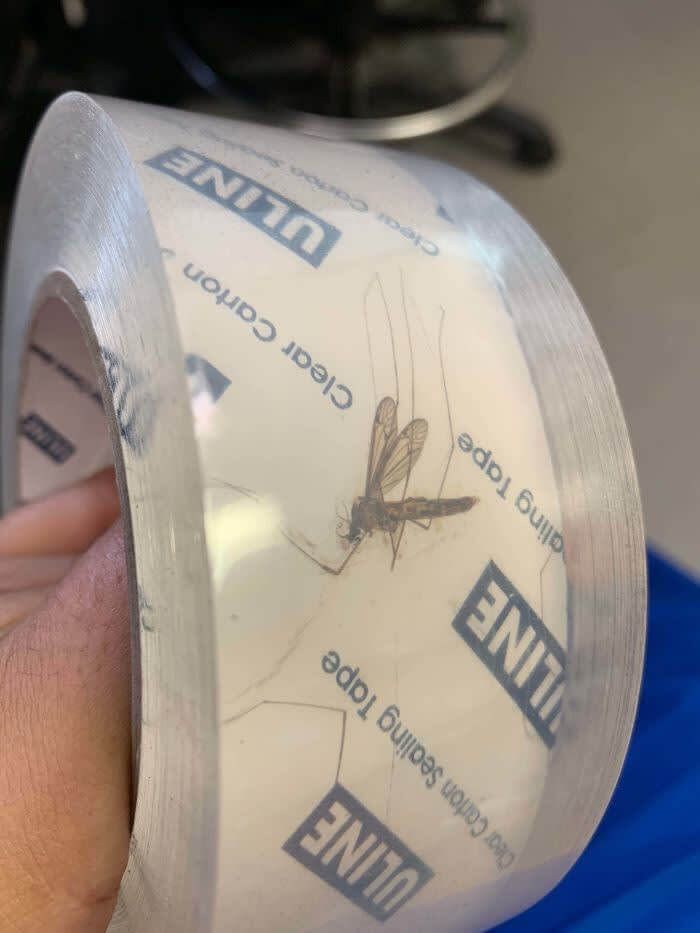 Mosquito Tape