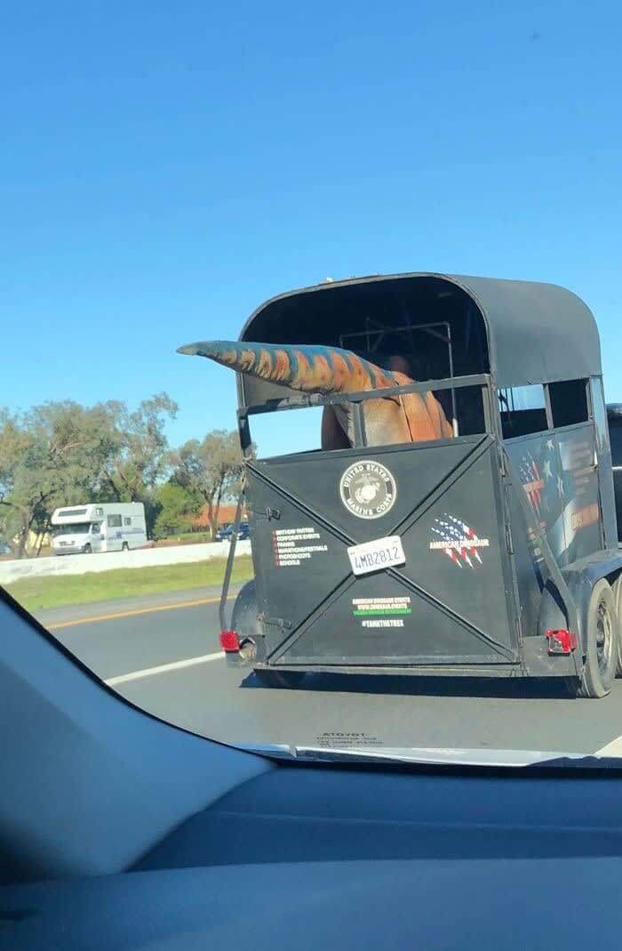 Precious Cargo