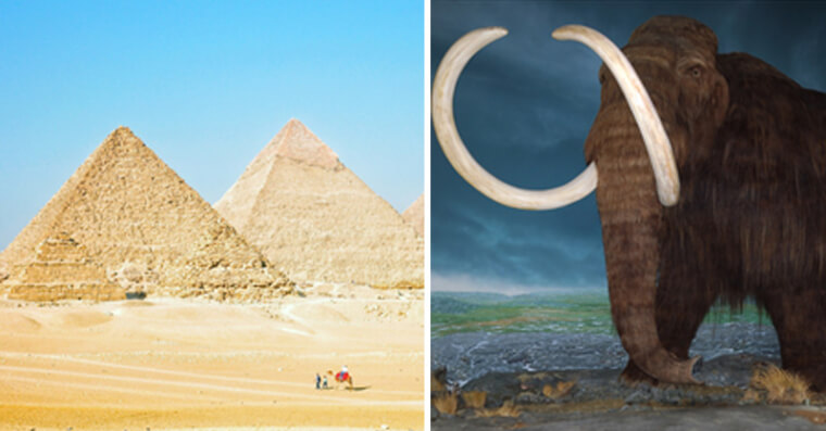 The Pyramids Were Built While Wooly Mammoths Were Still Alive