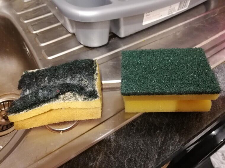 Dish Sponges