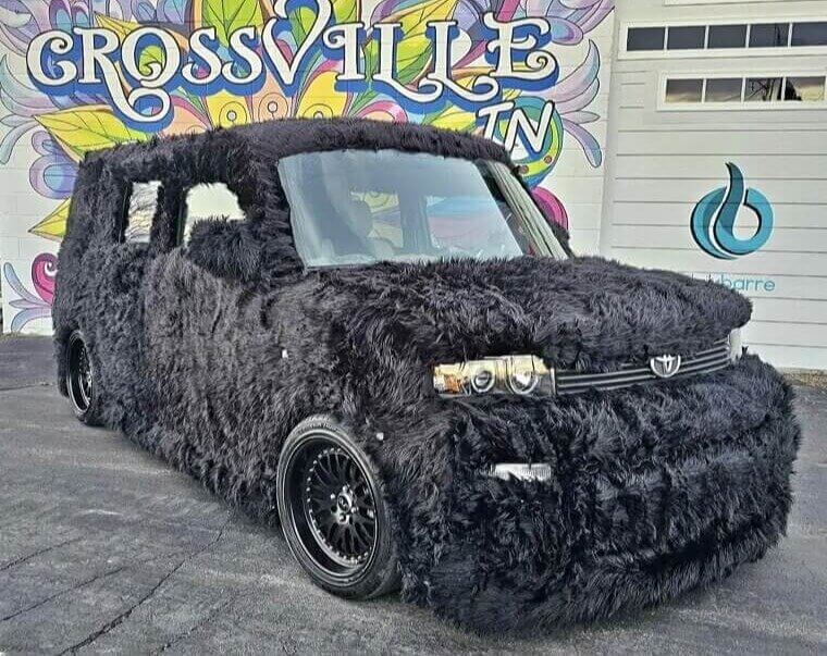 The Fuzzy Wuzzy Wagon