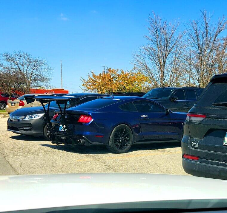 Wing It ‘Til You Make It