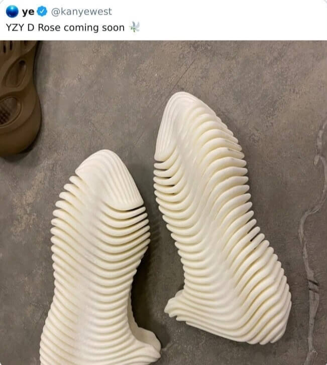 Fish Skeleton Or New Yeezys?