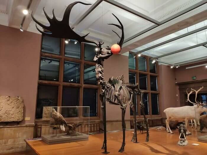 Even Skeletons Need A Bit Of Christmas Spirit Around The Holidays