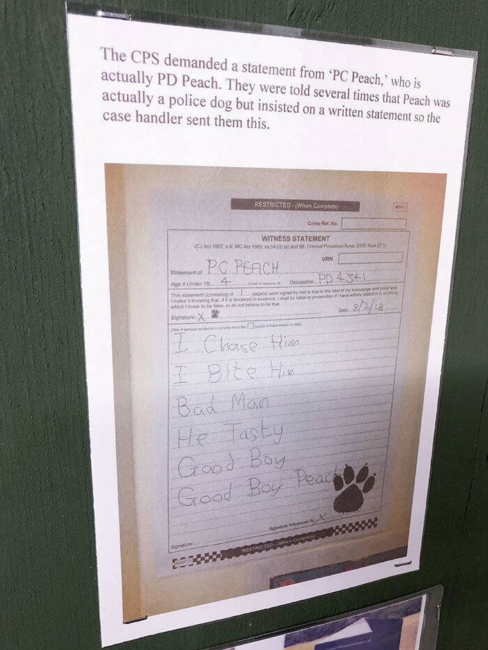 Who Knew That Police Dogs Could Give Statements Just Like Humans?