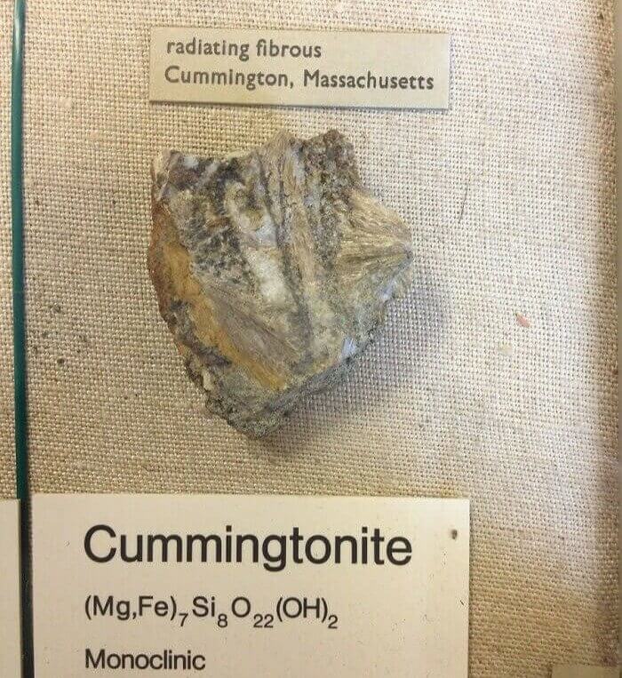 When The Name Of Something Is Too Good To Pass Up